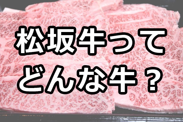 松阪牛のスライス肉